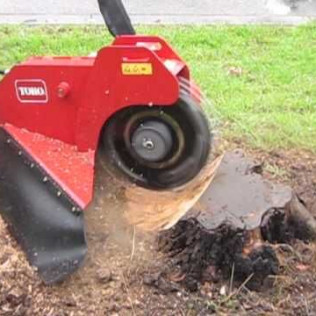 Tree stump removal techniques, 32708 Winter Springs FL